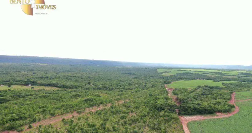 Fazenda, 28940000 m² - venda por R$ 50.000.000,00 ou aluguel por R$ 10.000,00/mês - Zona Rural - Rosário Oeste/MT