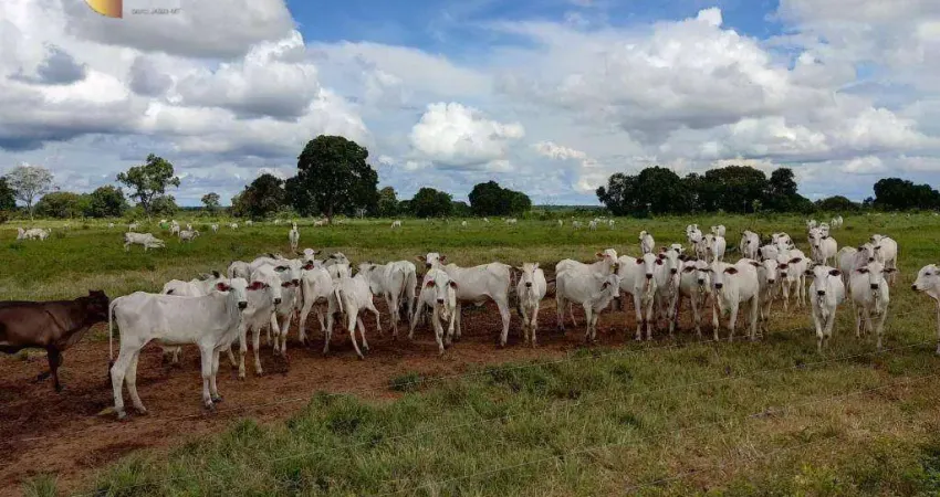 Fazenda à venda, 3700000 m² por R$ 11.100.000,00 - Zona Rural - Poconé/MT