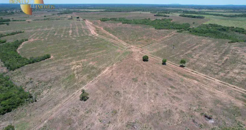Fazenda à venda, 16300000 m² por R$ 81.500.000,00 - Zona Rural - Poconé/MT