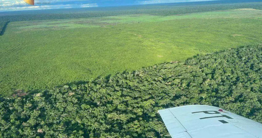 Fazenda à venda, 45000000 m² por R$ 166.541.250,00 - Zona Rural - Marcelândia/MT