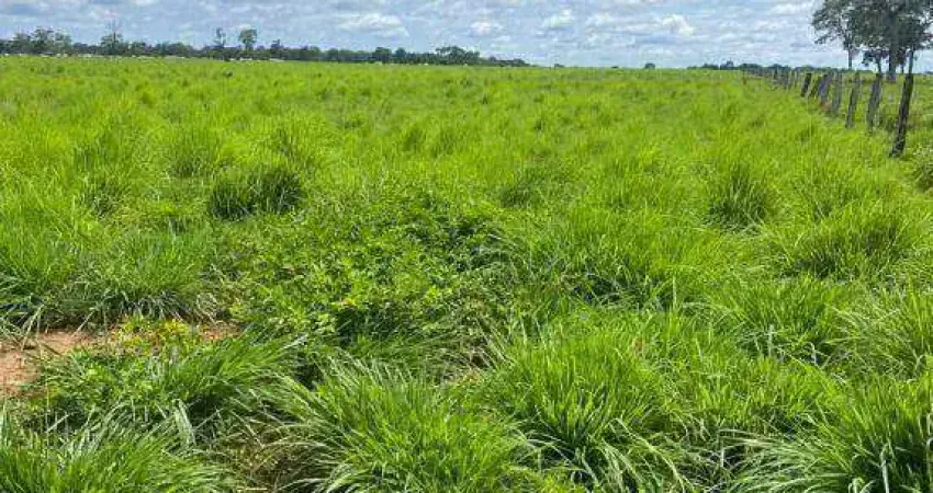 Fazenda para ARRENDAR, 16000000 m² por R$ 1.536.000/ano - Zona Rural - Poconé/MT