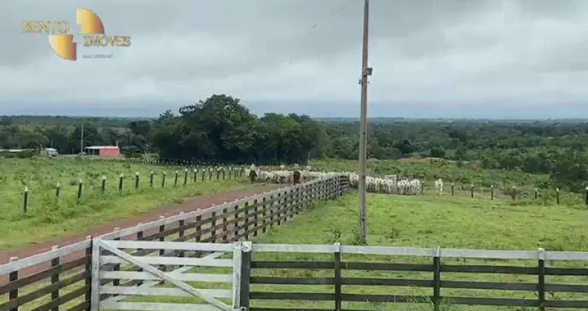 Fazenda à venda, 2886850 m² por R$ 5.000.000,00 - Zona Rural - Rosário Oeste/MT