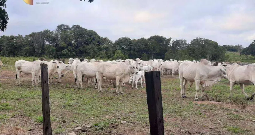 Fazenda à venda, 3250000 m² por R$ 5.500.000,00 - Zona Rural - Rosário Oeste/MT