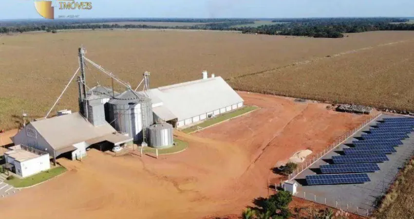 Área à venda, 30000 m² por R$ 35.000.000,00 - Zona Rural - Diamantino/MT