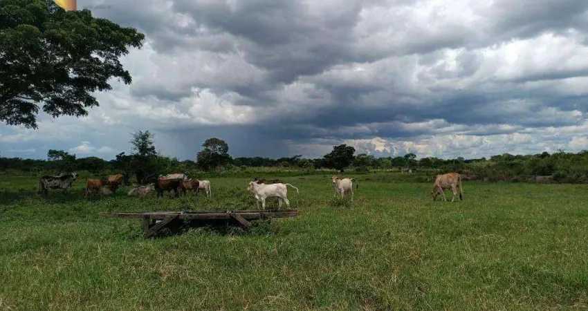 Fazenda à venda, 7000000 m² por R$ 21.000.000,00 - Zona Rural - Poconé/MT