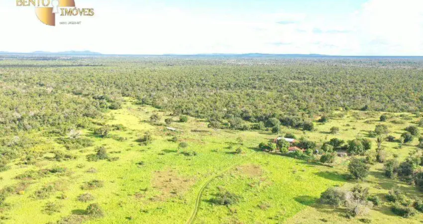 Fazenda à venda, 20000000 m² por R$ 16.000.000,00 - Zona Rural - Rondonópolis/MT