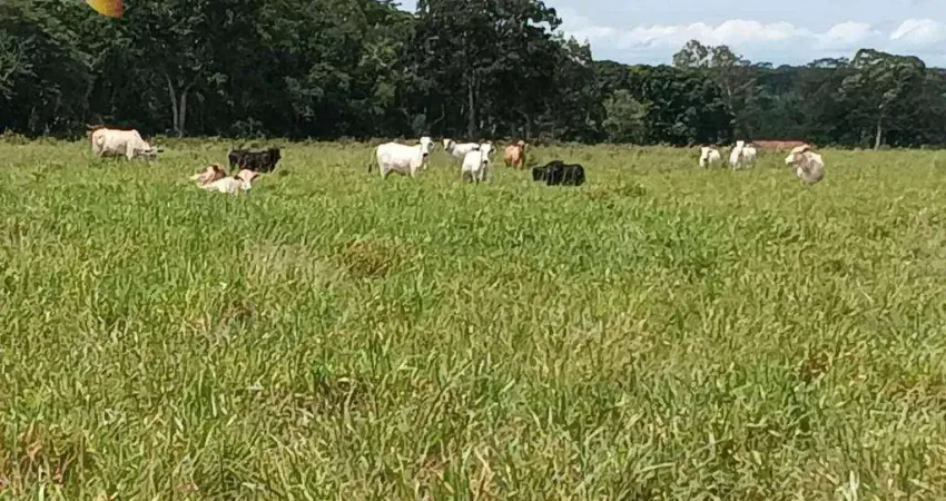 Fazenda à venda, 2900000 m² por R$ 7.500.000,00 -  Pacem - Cuiabá/MT