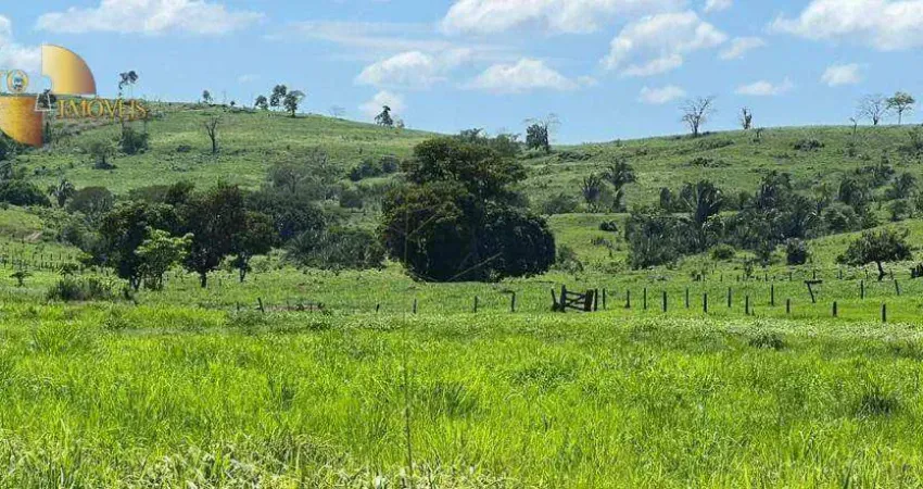 Fazenda à venda, 13900000 m² por R$ 45.000.000,00 - Zona Rural - Rondonópolis/MT