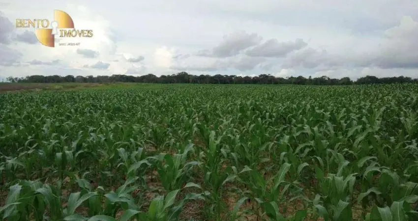 Fazenda à venda, 30250000 m² por R$ 60.000.000,00 - Zona Rural - Juara/MT