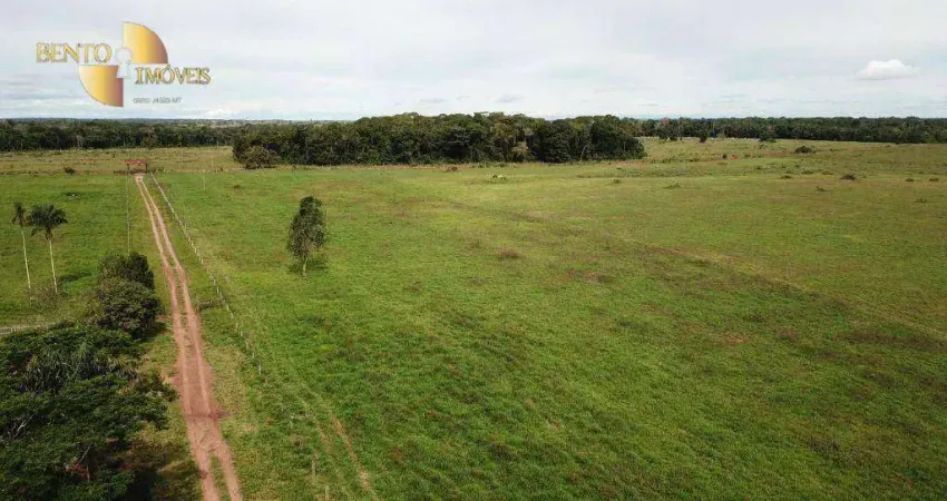 Fazenda à venda, 4840000 m² por R$ 15.000.000,00 - Zona Rural - Juara/MT