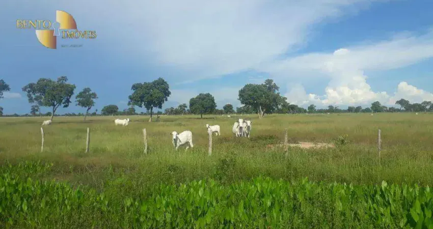Fazenda à venda, 164380000 m² por R$ 68.000.000,00 - Zona Rural - Poconé/MT