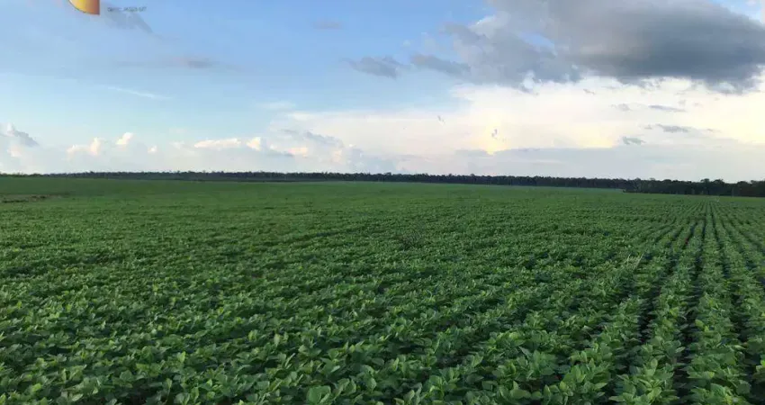 Fazenda à venda, 35000000 m² por R$ 150.000.000,00 - Zona Rural - Itauba/MT