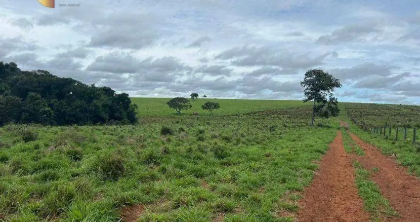 Fazenda à venda, 11600000 m² por R$ 45.000.000,00 - Zona Rural - Primavera do Leste/MT