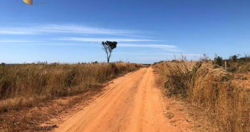 Fazenda à venda, 131000000 m² por R$ 180.000.000,00 - Zona Rural - Paranatinga/MT