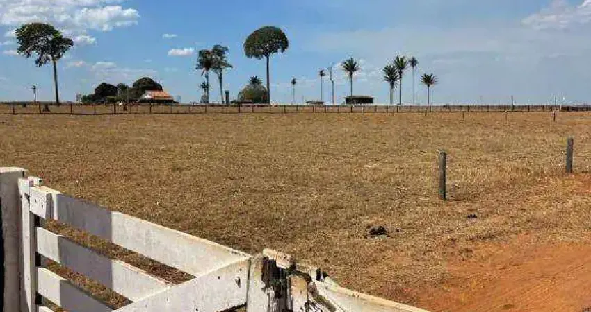 Fazenda à venda, 43000000 m² por R$ 100,00 - Zona Rural - Sinop/MT