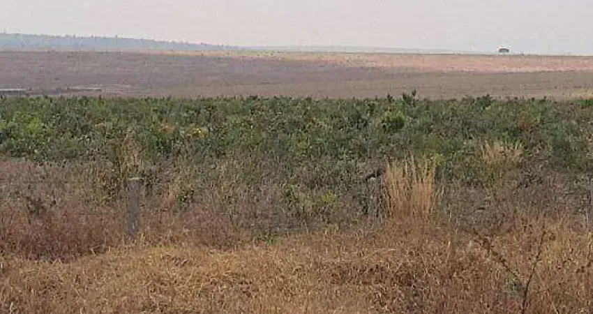 Fazenda, 25000000 m² - venda por R$ 75.000.000,00 ou aluguel por R$ 0,10/mês - Zona Rural - Primavera do Leste/MT