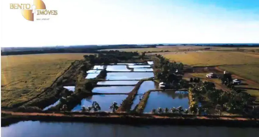 Fazenda à venda, 8020000 m² por R$ 51.600.000,00 - Zona Rural - Diamantino/MT