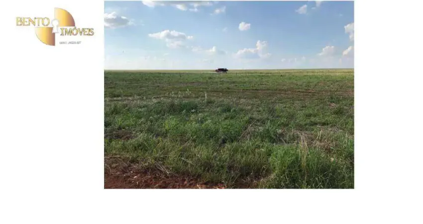 Fazenda à venda, 49000000 m² por R$ 252.000.000,00 - Zona Rural - Diamantino/MT