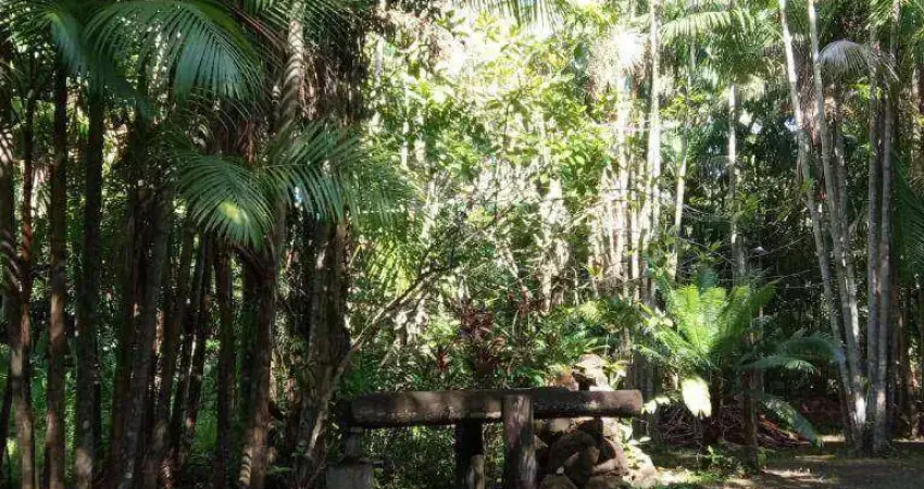 Fazenda à venda, 11530000 m² por R$ 12.000.000,00 - Zona Rural - Araguaína/TO
