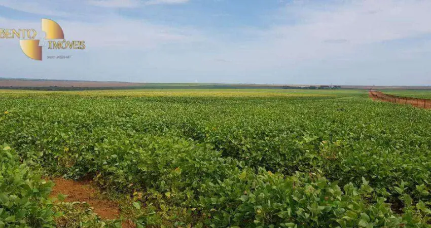 Fazenda à venda, 30900000 m² por R$ 474.624.000,00 - Centro - Campo Verde/MT