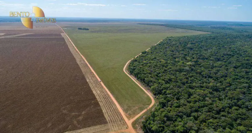 Fazenda à venda, 50000000 m² por r$ 200.000.000,00 - zona rural - campo novo do parecis/mt