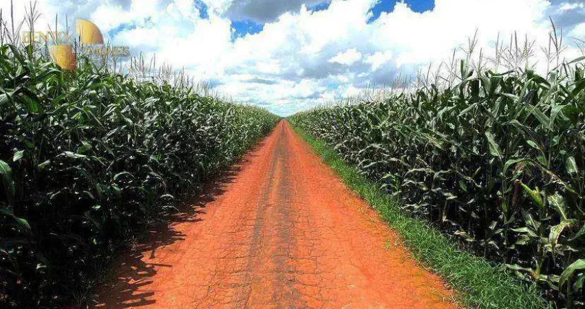 Fazenda à venda, 36000000 m² por R$ 230.400.000,00 - Zona Rural - Tabaporã/MT