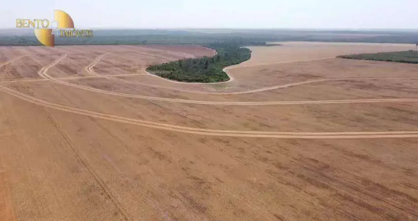 Fazenda à venda, 29000000 m² por R$ 200.000.000,00 - Zona Rural - Feliz Natal/MT