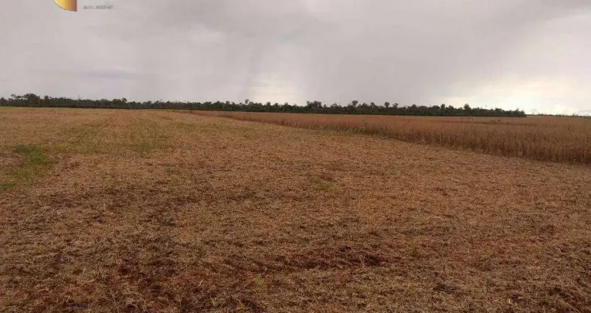 Fazenda à venda, 4800000 m² por R$ 24.576.000,00 - Zona Rural - Marcelândia/MT