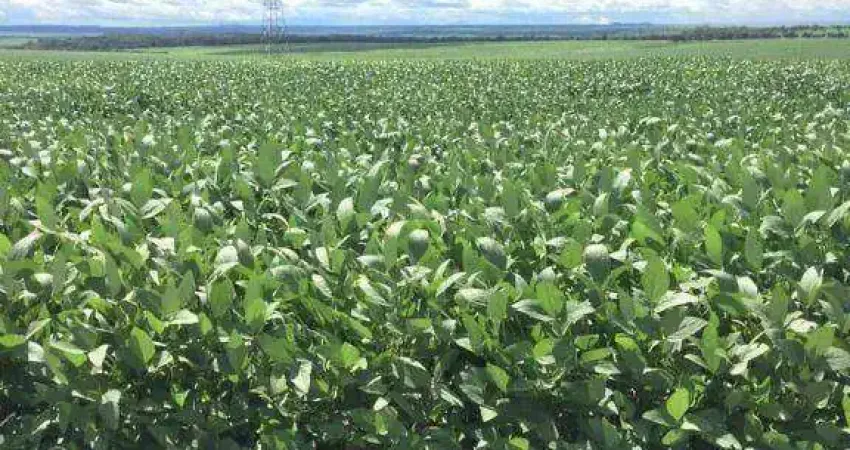 Fazenda à venda, 7220000 m² por R$ 60.070.400,00 - Zona Rural - Rondonópolis/MT