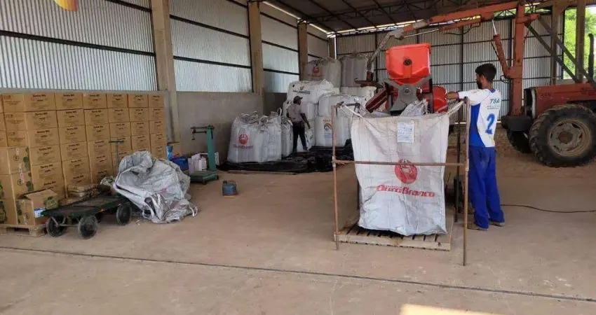 Fazenda à venda, 5550000 m² por R$ 20.000.000,00 - Zona Rural - Paranatinga/MT