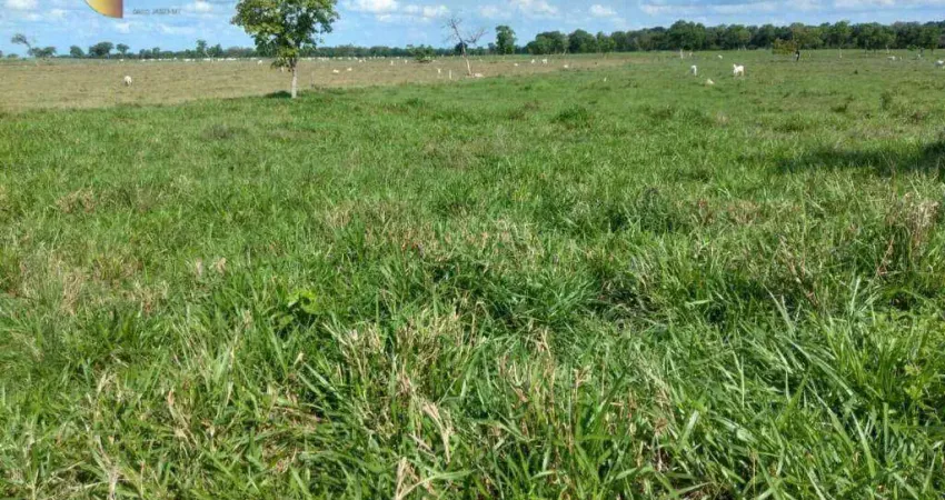 Fazenda à venda, 2670000 m² por R$ 8.000.000,00 - Zona Rural  - Várzea Grande/MT