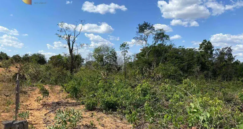 Fazenda à venda ou permuta, 7320000 m² por R$ 12.000.000 - Zona Rural - Alto Araguaia/MT