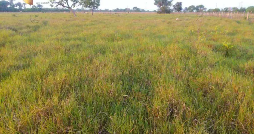 Fazenda à venda, 5000000 m² por R$ 20.000.000,00 - Zona Rural - Cuiabá/MT