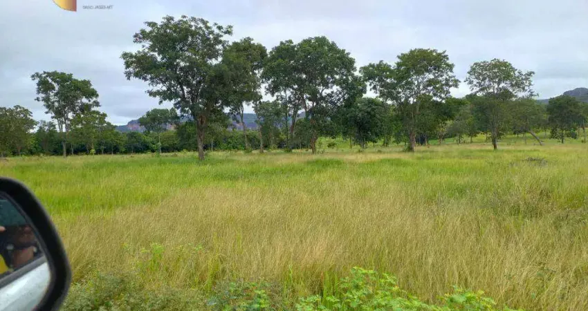 Fazenda à venda, 3025000 m² por R$ 10.000.000,00 - Zona Rural - Pedra Preta/MT