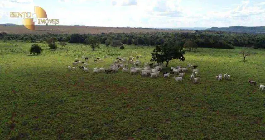 Fazenda à venda, 4700000 m² por R$ 7.000.000,00 - Zona Rural - Dom Aquino/MT