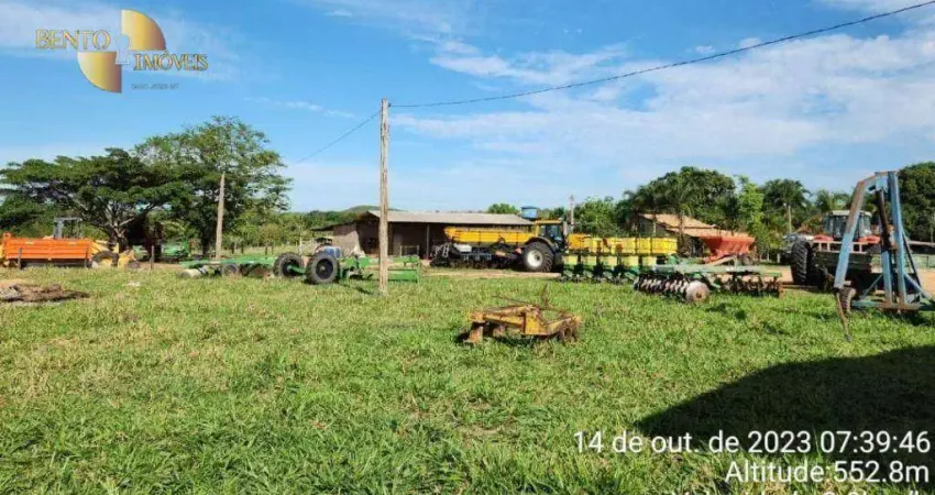Fazenda à venda, 16000000 m² por R$ 55.269.000,00 - 256 - Tesouro/MT