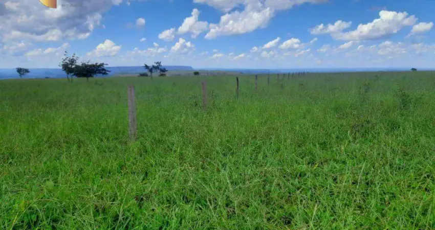 Fazenda à venda, 3000000 m² por R$ 4.500.000,00 - Zona Rural - Diamantino/MT