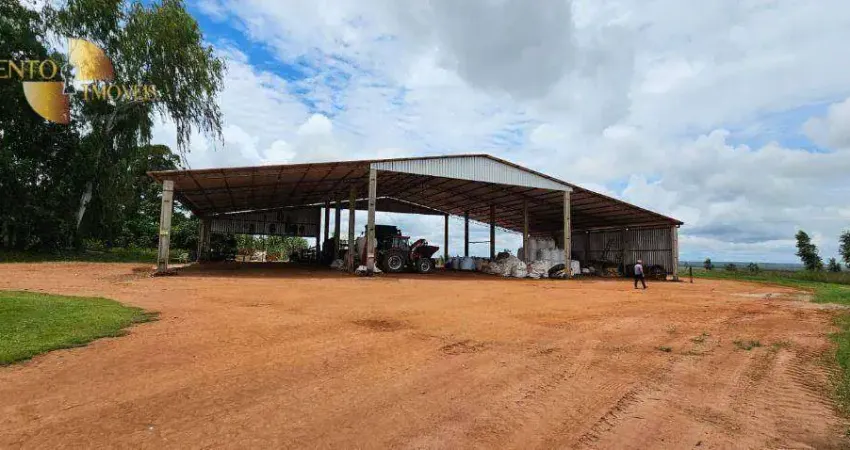 Fazenda à venda, 7280000 m² por R$ 36.400.000,00 - Zona Rural - Nova Maringá/MT
