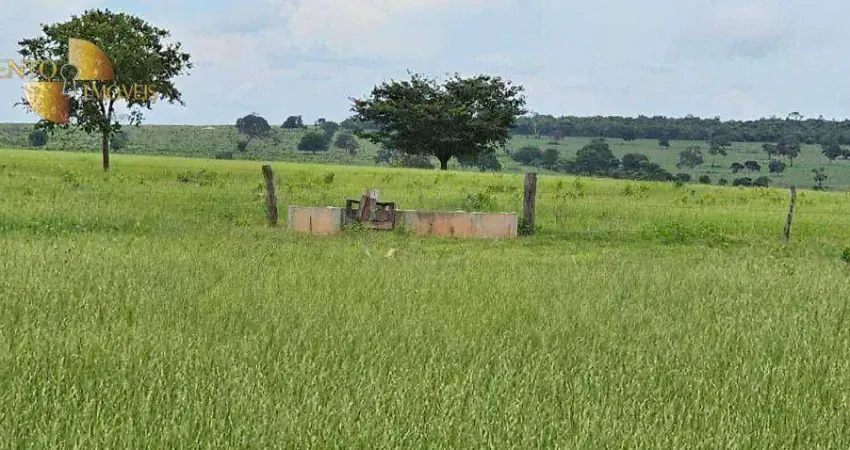 Fazenda à venda, 3387400 m² por R$ 8.500.000,00 - Zona Rural - Juscimeira/MT