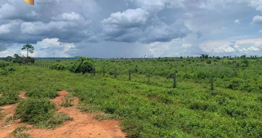Fazenda para alugar, 30000000 m² por R$ 10.000,00 - Zona Rural - Alta Floresta/MT