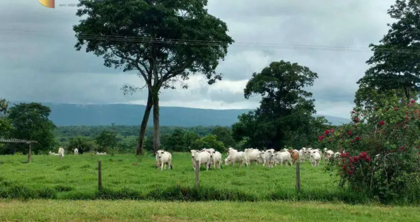 Fazenda à venda, 30000000 m² por R$ 35.000.000,00 - Zona Rural - Barra do Bugres/MT