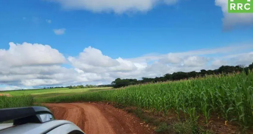 Fazenda à venda, 22750000 m² por R$ 27.000.000,00 - Centro - Campo Verde/MT