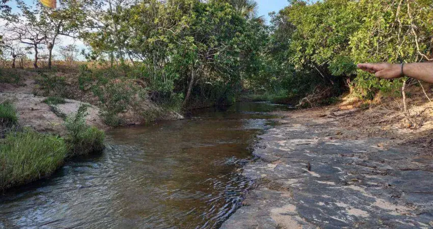 Fazenda à venda, 10460000 m² por R$ 20.000.000,00 - Zona Rural - Arinos/MG