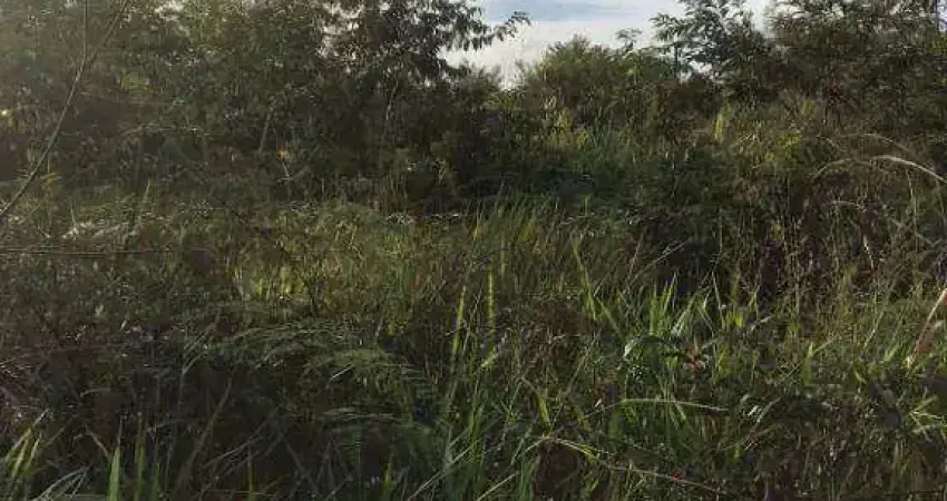 Fazenda à venda, 23470000 m² por R$ 200.000.000,00 - Zona Rural - Marcelândia/MT