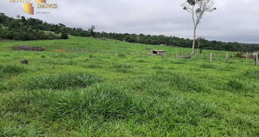Fazenda à venda, 9070000 m² por R$ 26.000.000,00 - Zona Rural - Guarantã do Norte/MT