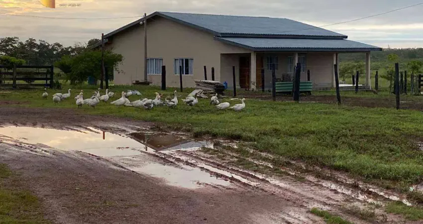 Fazenda à venda, 18350000 m² por r$ 47.000.000,00 - zona rural - pimenta bueno/ro
