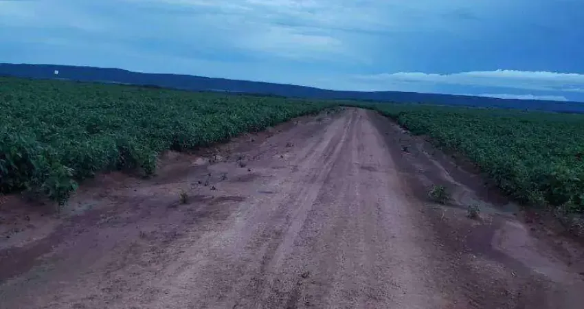 Fazenda à venda, 2600 hectares por r$ 71.500.000 - zona rural - nova brasilândia/mt