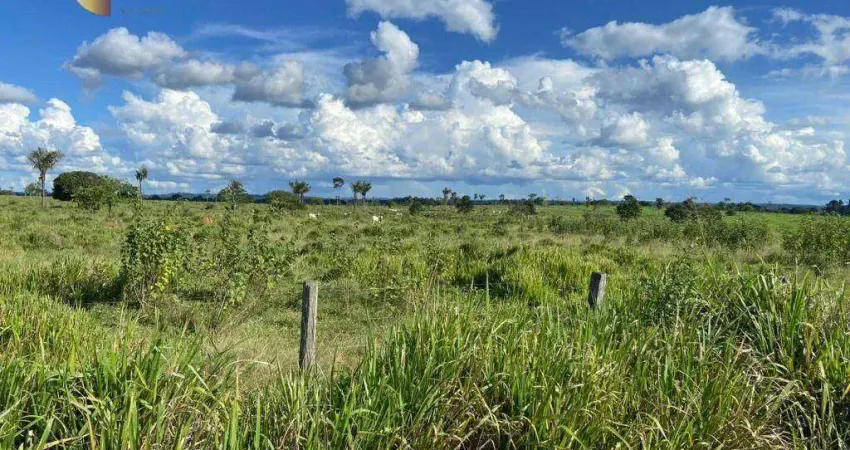 Fazenda à venda, 3200 hectares por r$ 160.000.000 - zona rural - alta floresta/mt