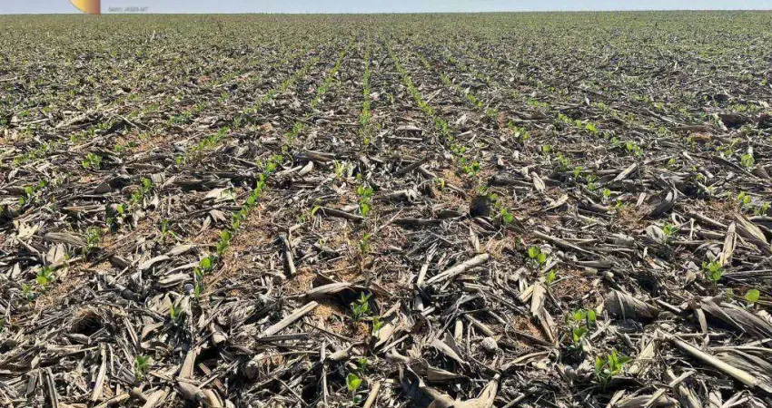 Fazenda à venda, 3580 hectares por r$ 220.000.000 - zona rural - ipiranga do norte/mt