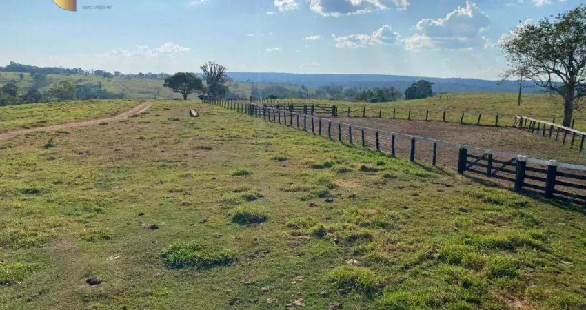 Fazenda à venda, 15730 hectares por r$ 37.000.000 - zona rural - comodoro/mt